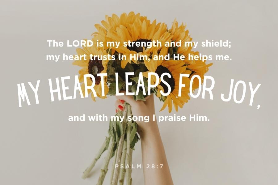 Psalm 28:7